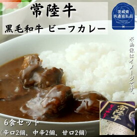 【ふるさと納税】常陸牛【黒毛和牛】 ビーフカレー 6食セット（茨城県共通返礼品・茨城町産）