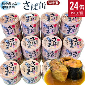 【ふるさと納税】サバの味噌煮缶詰（サバ缶） 190g×24缶入 1箱