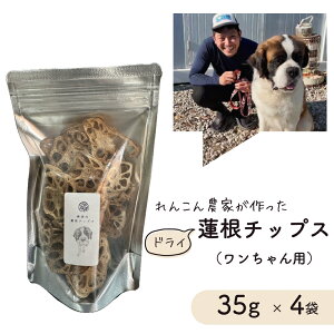 yӂ邳Ɣ[ŁzR _Ƃ p hC @`bvX @pE_[ Hה p hbNt[h  p ppE_[