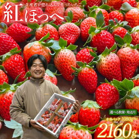 【ふるさと納税】【1月～3月発送】紅ほっぺ