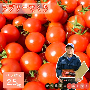 yӂ邳Ɣ[ŁẑɎ|݂ƃRNI ~jg}g i u[ jol߁^2.5kg