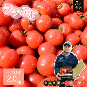 yӂ邳Ɣ[Łz~jg}giv`Ղj@ol2.0kg