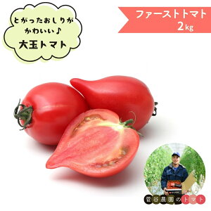 yӂ邳Ɣ[Łzʃg}g t@[Xgg}g 2kg