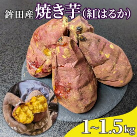 【ふるさと納税】鉾田産　焼き芋（紅はるか）1～1.5kg