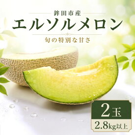 【ふるさと納税】 【先行予約】 エルソルメロン 2玉 2.8kg以上 青肉 メロン めろん 産地直送 追熟 国産 フルーツ 果物 贈答用 ギフト おすすめ 人気 茨城県 鉾田市 内山農園