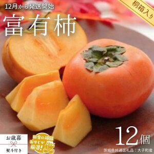 yӂ邳Ɣ[Łzy Ε lt zy ˔ zxL` 12 y12甭Jnzi錧ʕԗi [`]FqYj ` xL` ʕ t[c G {