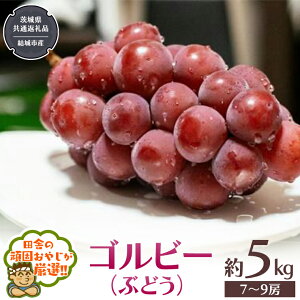 yӂ邳Ɣ[Łz_ Iׂ[ ^ Sr[ i Ԃǂ jy2025N9蔭Jnzi錧ʕԗi [Ԃǂ]FsYjԂǂ Sr[ ʕ t[c G {