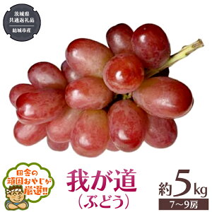 yӂ邳Ɣ[Łz䂪 i Ԃǂ j 5Li7`9[jy2025N9甭Jnz i錧ʕԗi [Ԃǂ]FsYj Ԃǂ 䂪 ʕ t[c G {