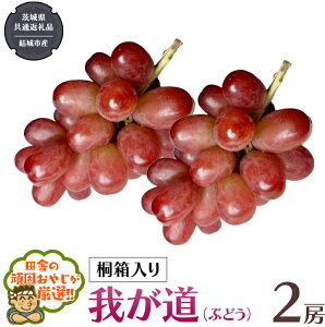 yӂ邳Ɣ[Łz_ Iׂ[ ^ y ˔ z䂪 i Ԃǂ j 1[ 2[ y2025N9甭Jnzi錧ʕԗi [Ԃǂ]FsYj Ԃǂ 䂪 ʕ t[c G {