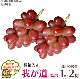【ふるさと納税】＼ 選べる房数 ／ 【 桐箱入り 】我が道 （ ぶどう ） 1房 2房 【2026年9月から発送開始】（茨城県共通返礼品 [ぶどう]：結城市産） ぶどう 我が道 果物 フルーツ 季節 旬