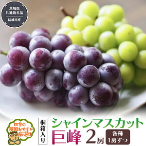 yӂ邳Ɣ[Łz_ lΉ ^y ˔ z VC}XJbg   ie1[j y8甭Jnz i錧ʕԗi [Ԃǂ]FsYj VC}XJbg  Ԃ
