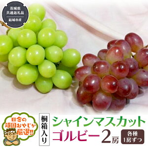 yӂ邳Ɣ[Łzy ˔ zVC}XJbgƃSr[ ie1[j y9甭Jnzi錧ʕԗi [Ԃǂ]FsYj VC}XJbg Sr[ Ԃǂ ʕ 