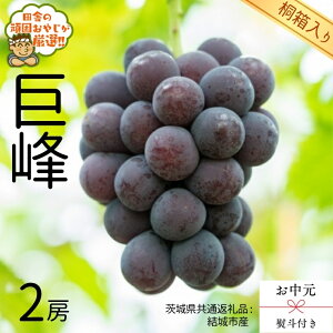 yӂ邳Ɣ[Łz_ Iׂ[ElΉ ^ y  l t zy ˔ z 2[ y2026N8蔭Jnzi錧ʕԗi [Ԃǂ]FsYj  Ԃǂ ʕ t[c G