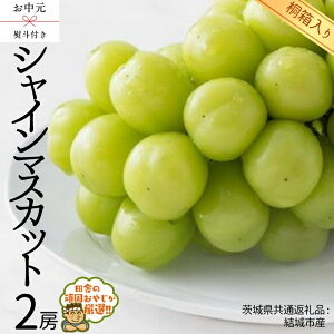 yӂ邳Ɣ[Łz_ Iׂ[ElΉ ^ y ˔ z VC}XJbg 1[ 2[ y2026N8甭Jnzi錧ʕԗi [Ԃǂ]FsYj ʕ t[c Ԃǂ }XJ