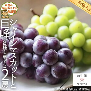 yӂ邳Ɣ[Łz_ lΉ ^y ˔ z VC}XJbg   ie1[j y2026N8甭Jnz i錧ʕԗi [Ԃǂ]FsYj VC}XJbg  