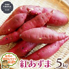 【ふるさと納税】紅あずま 5kg （茨城県共通返礼品 [さつまいも]：行方市産） さつまいも 紅あずま 芋 いも 野菜