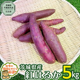 【ふるさと納税】べにはるか 5kg （茨城県共通返礼品 [さつまいも]：行方市産） さつまいも 紅はるか 芋 いも 野菜