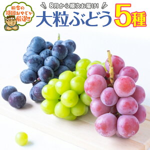yӂ邳Ɣ[Łz_ Iׂi퐔 ^ 嗱Ԃǂ 3 or 5 y8蔭Jnz cɂ̊ł₶II Ԃǂ uhE  ʕ t[c 錧Y