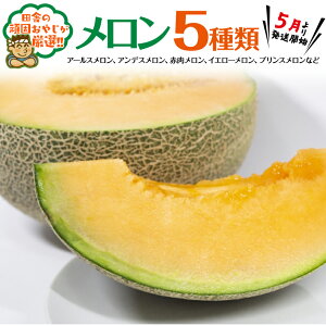 yӂ邳Ɣ[Łz 5 ؃Zbgy5珇͂zcɂ̊ł₶II