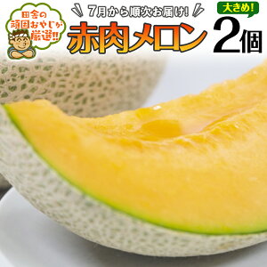 yӂ邳Ɣ[Łz傫 ԓ  2y7Jnzcɂ̊ł₶II