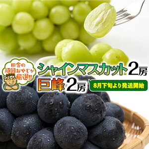 yӂ邳Ɣ[Łz VC}XJbg 2[ E  2[ Zbgy8{蔭Jnzcɂ̊ł₶II