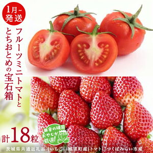 yӂ邳Ɣ[Łz ƂƂ  t[c~jg}g ̕Δ y1甭Jn zi錧ʕԗi []F闢Y@[g}g]F΂݂炢sYj lߍ킹 ʕ t[c 