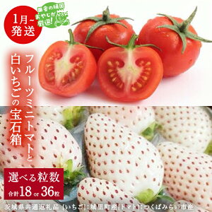 yӂ邳Ɣ[Łz   t[c~jg}g Δ y 1甭Jn z i錧ʕԗi []F闢Y@[g}g]F΂݂炢sYj lߍ킹 ʕ t[c 