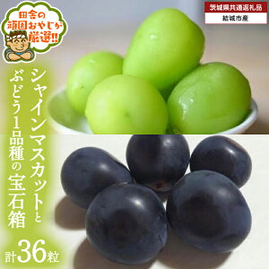 yӂ邳Ɣ[Łz_ IׂiE ^ uXԂǂ36v VC}XJbg  Ԃǂ2i̕Δy2025N8蔭Jnzi錧ʕԗi [Ԃǂ]FsYj Ԃǂ uhE