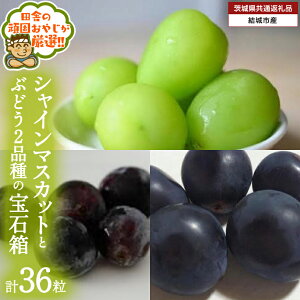 yӂ邳Ɣ[Łz_ IׂiE ^ uXԂǂ36v VC}XJbg  Ԃǂ2i̕Δy2025N8蔭Jnzi錧ʕԗi [Ԃǂ]FsYj Ԃǂ uhE