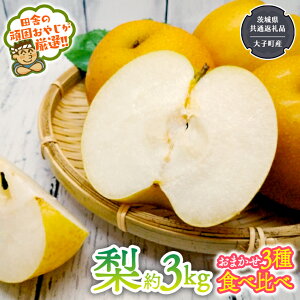 �y�ӂ邳�Ɣ[�Łz�� �H�ה�� �i�킨�܂���3��� ��3kg�y2026�N8����蔭���J�n�z�i��錧���ʕԗ�i [��]�F��q���Y�j�c�ɂ̊�ł��₶�����I�I �K�� �L�� �V�� �쐅 ��\���I