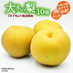 yӂ邳Ɣ[Łz傫  10y7{蔭Jnzcɂ̊ł₶IIi錧ʕԗi []FqYj