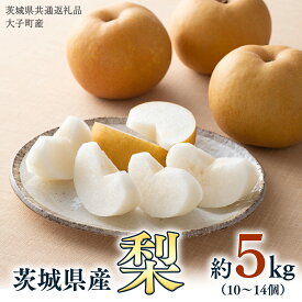【ふるさと納税】＼ 化粧箱対応 ／ 梨 5kg（10〜14個）【2026年8月より発送開始】（茨城県共通返礼品 [梨]：大子町産） なし ナシ 果物 フルーツ 茨城県産 なし ナシ 果物 フルーツ 茨城県産