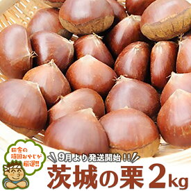 【ふるさと納税】茨城の栗2kg【令和6年9月より発送開始】田舎の頑固おやじが厳選！