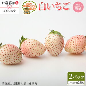 yӂ邳Ɣ[Łz 250g×2pbNy2025N12蔭Jnz i 錧ʕԗiF闢Y jcɂ̊ł₶II 錧 Y lC I ʕ  { {̉ʕ {̃t