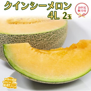 yӂ邳Ɣ[Łzy  l tz NCV[ 4L ×2 y2026N8蔭Jnzcɂ̊ł₶II   Mtg x  Â  t[c