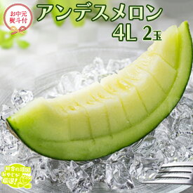 【ふるさと納税】【 お中元 熨斗 付】 アンデスメロン 4L×2個 【2026年8月より発送開始】田舎の頑固おやじが厳選！ メロン お中元 ギフト 高糖度 大玉 甘い 美味しい フルーツ
