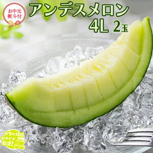 yӂ邳Ɣ[Łzy  l tz AfX 4L×2 y2026N8蔭Jnzcɂ̊ł₶II   Mtg x  Â  t[c