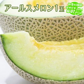 【ふるさと納税】 アールスメロン 1個 田舎の頑固おやじが厳選！ メロン ギフト 高糖度 甘い 美味しい フルーツ