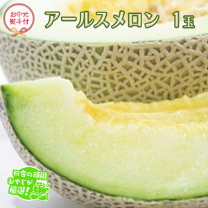 yӂ邳Ɣ[Łzy  l tz A[X 1 y2026N8蔭Jnzcɂ̊ł₶II   Mtg x Â  t[c