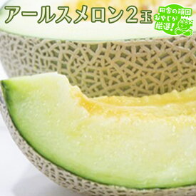 【ふるさと納税】 アールスメロン 2個 田舎の頑固おやじが厳選！ メロン ギフト 高糖度 甘い 美味しい フルーツ 誕生日 プレゼント ギフト 贈り物 父の日 母の日