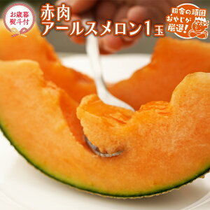 yӂ邳Ɣ[Łz yΕ ltz ԓ A[X 1y2025N12蔭Jnzcɂ̊ł₶II  ԓ Mtg x Ε  Â