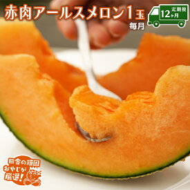 【ふるさと納税】 【定期便】 赤肉 アールスメロン 毎月1個 × 12か月 田舎の頑固おやじが厳選！ メロン アールスメロン 赤肉 ギフト 高糖度 定期便 赤肉メロン 甘い 美味しい フルーツ