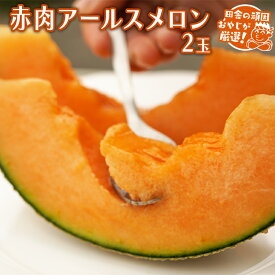 【ふるさと納税】 赤肉 アールスメロン 2個 田舎の頑固おやじが厳選！メロン アールスメロン 赤肉 ギフト 高糖度 甘い 美味しい フルーツ 誕生日 プレゼント ギフト 贈り物 父の日 母の日