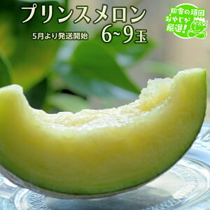 yӂ邳Ɣ[ŁzvX 6`9 y5Jnz cɂ̊ł₶II  W[V[ Mtg x   Ât[c