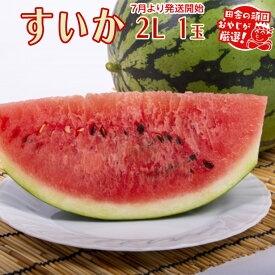 【ふるさと納税】すいか 2L×1個【2025年7月より発送開始】田舎の頑固おやじが厳選！ すいか スイカ ギフト 大玉 甘い フルーツ 美味しい