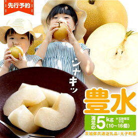 【ふるさと納税】＼ 選べる内容量 ／ 梨 豊水 約5kg 約10kg 【2026年9月より発送開始】（茨城県共通返礼品 [梨]：大子町産）田舎の頑固おやじが厳選！ なし 豊水梨 果物 くだもの フルーツ 旬 高糖度 ギフト 美味しい 甘い デザート