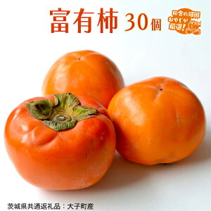 yӂ邳Ɣ[ŁzxL` 30yߘa6N11蔭Jnzi錧ʕԗiFqYjcɂ̊ł₶II ` xL` x Â  t[c