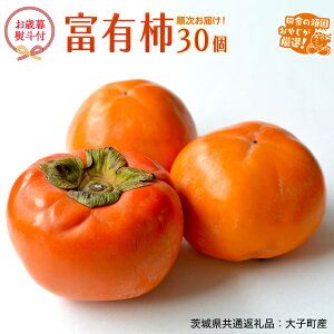 yӂ邳Ɣ[ŁzyΕ ltz xL` 30 yߘa6N12蔭Jnz i錧ʕԗiFqYj cɂ̊ł₶II ` xL` x Mtg bsO Ε Â 