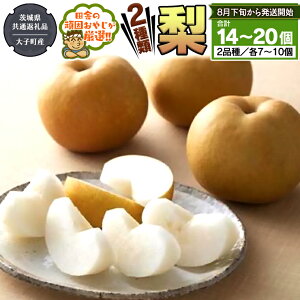 yӂ邳Ɣ[Łz 2 Zbg y8{甭Jnz i錧ʕԗi []FqYj cɂ̊ł₶IIt[c ʕ 