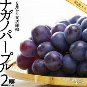 yӂ邳Ɣ[Łz_ Iׂ[ ^ y ˔ z iKmp[v 1[ 2[ y8甭Jnzi錧ʕԗi [Ԃǂ]FsYj ʕ t[c }XJbg Ԃǂ Mtg  v